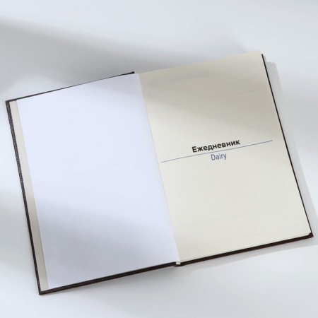 Deliciper of Leduced A5, 160 liters. Solid cover. Leatherette. Cream block. "Crocodile"-3