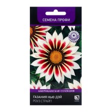 Seeds of Gasiania Flowers New Day Rose Straip, 10pcs