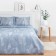 Bed linen saving and 2 joint venture "Botanika" 173x215 cm, 175x214 cm, 50x70cm-2pcs, 60 g/m2, microfiber