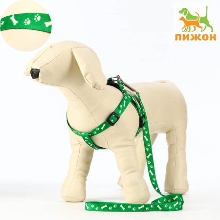 Kapron "Bones and Paws" kit, leash 120 x 1.5 cm, og 30-44 cm, green