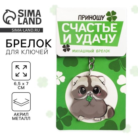 Acrylic key -keychain "I am bringing happiness and luck", 9.7 x 4.5 cm