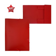 A4, 500 μm elastic band, calligrata, 4 mm spine, up to 300 sheets, embossing 