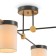 Freya FR5377CL-04B Bogy, 950x950x330 mm ceiling lamp, E14, 4x40W, black color black