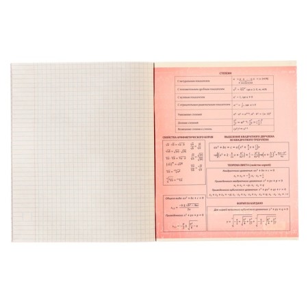 Substantial notebook Calligrata "3D", 48 sheets in the algebra cage, with reference material, covered cardboard, unit No. 2, whiteness 75% (gray sheets)-5