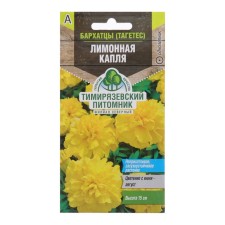 Flower seeds of marigolds, tagetes, 