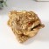 Necc Gold Polystone "Golden toad with a coin" 15.7x12x9.5 cm