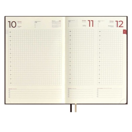 Dated 2025 diary, Escalada, A5+ 176 sheets, integral cover, artificial leather, foil embroidery, liesse, block 80 g/m2, brown-2