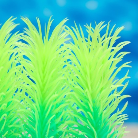 The artificial aquarium, luminous plant, 5 cm, green-2