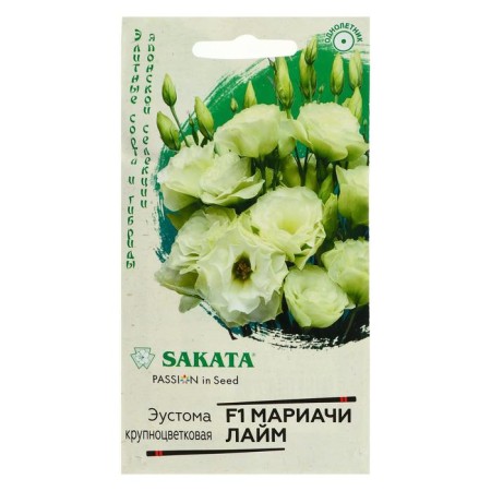 Eustoma flowers "Mariachi Lim", F1, 4 pcs