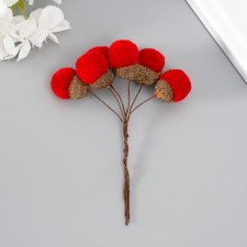 Flowers for decorating 