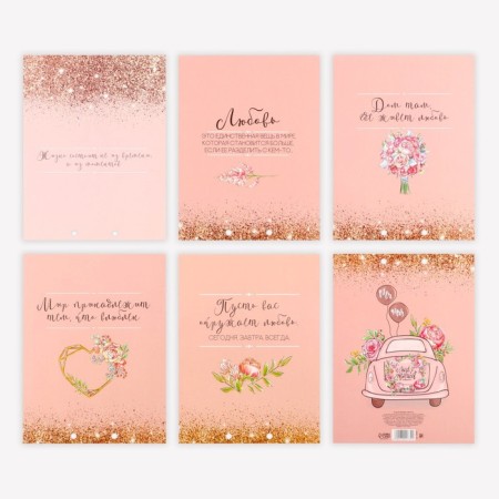 The envelope for money for the wedding "Tenderness", a postcard, 6 sheets.-9