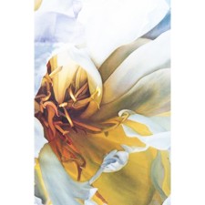 Women's scarf, size 35x27 cm