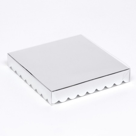 Box for cookies, silver, 18 x 18 x 3 cm-1