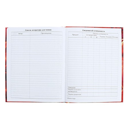 Diary for grades 5-11 anime. Man, hard cover, glossy lamination, 48 sheets-7