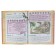 Encyclopedia of entertaining sciences for children "Dinosaurs". Likso V.V., Filippova M. D., Khomich E. O.