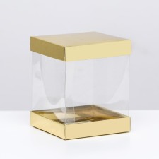 Box with PVC mini 10 x 10 x 12 cm 