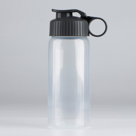 Water bottle "View 4", 450 ml