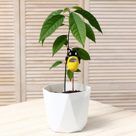 Soil moisture meter "Bee"-11