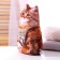 Antistress toy "Cat"