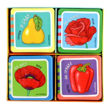 Mini-book. What is growing here? Set of 4 books-2