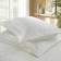 A set with the Trinity cover, size 240x260 cm, 50x70 cm - 2 pcs, color milk