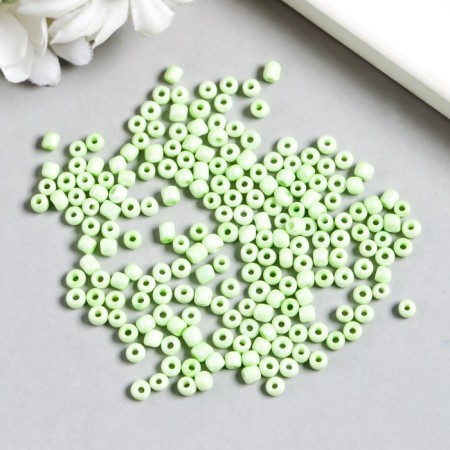 Beads "Zlatka" 08/0, 3 mm, 10 g 0971 Salad-1