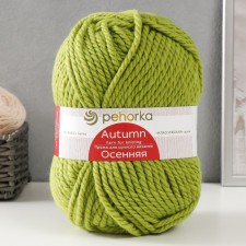 Autumn yarn 25% wool, 75% pan 150m/200g (119-goroch)