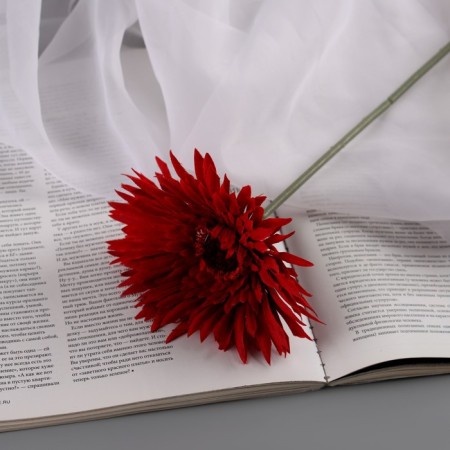 Artificial flowers "chrysanthemum lux" d-11 cm, 40 cm, red
