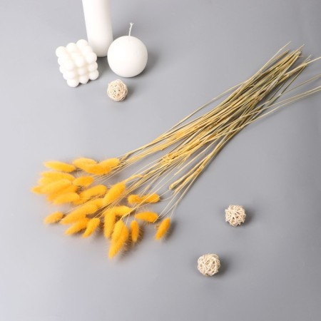 Dry Sukhotzet "Lagurus" 65 cm, yellow (packing 30 pcs, price per 1 pc)-2