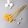 Dry Sukhotzet "Lagurus" 65 cm, yellow (packing 30 pcs, price per 1 pc)