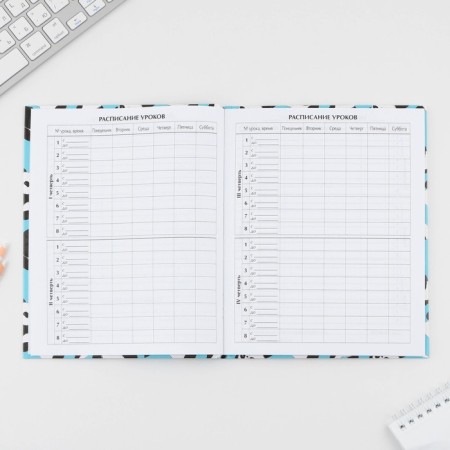 School Diary 5-11 Grade "September 1: Panda", solid cover 7BC, glossy lamination, 48 sheets-4