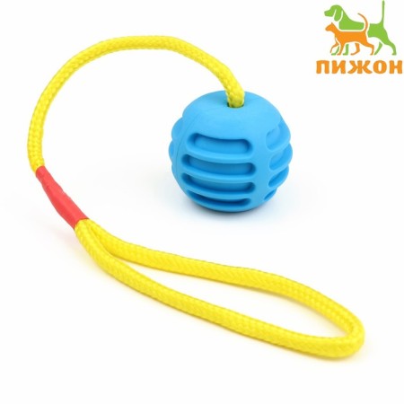 Toy "A ball reinforced on a rope", 43 cm, ball 6 cm, blue