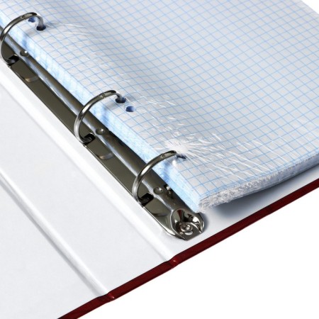 A notebook on 4 rings A5, 120 sheets of the Harry Potter Cage, a hard cover, glossy lamination, block 60g/m2-4
