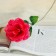 Artificial flowers "Rosa Maline" 40 cm