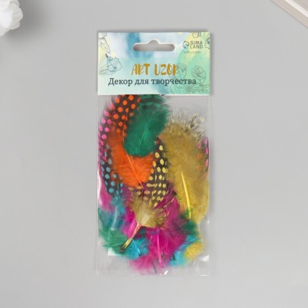 Pen's pen-pheasant "polka dots" set 15 pcs h = 8-13 cm-3