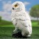 Garden figure "Owl Polar" 24.5 cm
