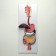 Model "The Digestive System of Human" 90*32cm