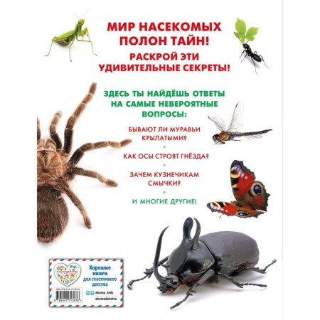 Insects-1