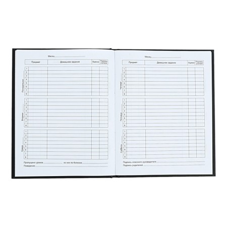 Universal Diary 1-11 Grade "You are cool", 40 sheets, hard cover, glossy lamination, embossing gold foil, OFSET BLOCK-4