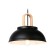 Lighting Lamp in the style of Ambrella Light, Traditional, TR8192, E27, Black, Light Wood
