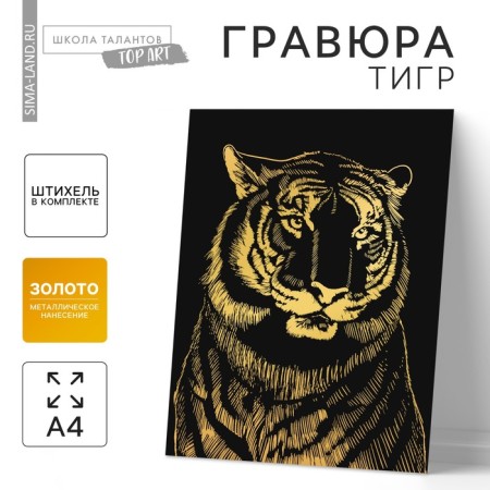Engraving "Tiger" with a metallic effect "Gold" A4