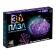 3D puzzle "Magic shell", crystalline, 48 details