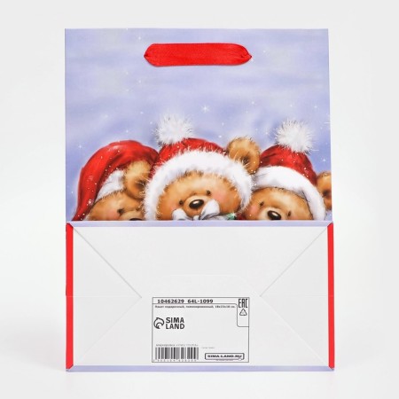 Gift, laminated, "cubs" package, 18 x 23 x 10 cm-3