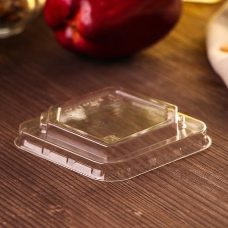 A plastic disposable lid for a cut-cutter "Fresh", pr-st-80 × 120, color transparent color