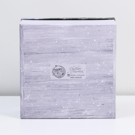Gift Gift "Brilliant Year", 22 x 22 x 12 cm, New Year-5