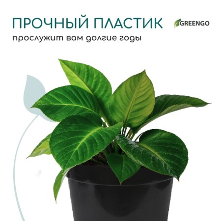 Pot for seedlings, 3 l, d = 19 cm, h = 15 cm, black, greengo-5