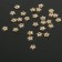 Hats for beads "Asterisk" (set 30 pcs.) 0.5 × 0.5 × 0.2 cm, color gold