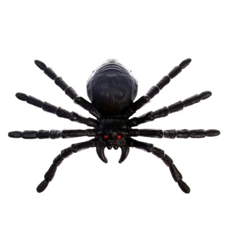 Fun "Spider", black color, 20 × 15 cm-1