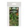 Cucumber seeds "Funn Dwarf", set of 5 pcs