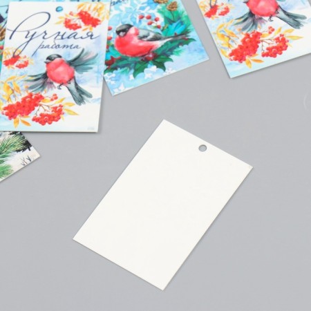 Cardboard "NG Snegier" set 10 pcs (5 types) 4x6 cm-4